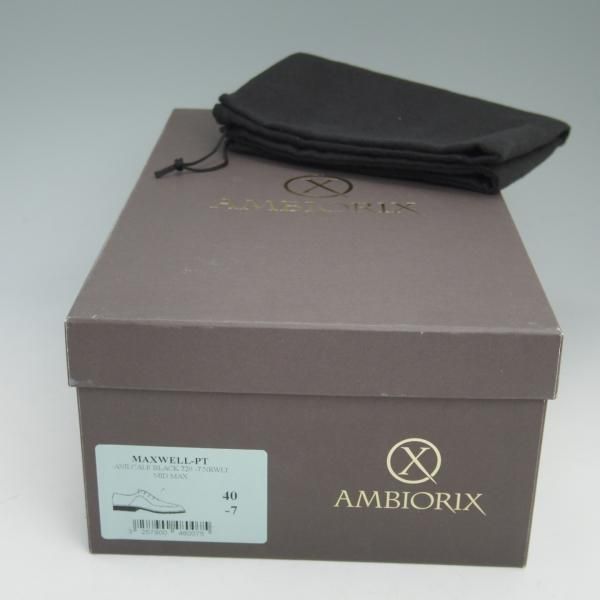 ✨クリーニング済✨KOKON AMBIORIX ホールカット ✨クリーニング済✨KOKON AMBIORIX ホールカット - メルカリ