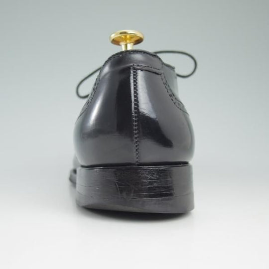 極上★オールデン 8D【★コードバン仕様/モディファイドラスト】54095/セミブローグ/黒/Alden★c694