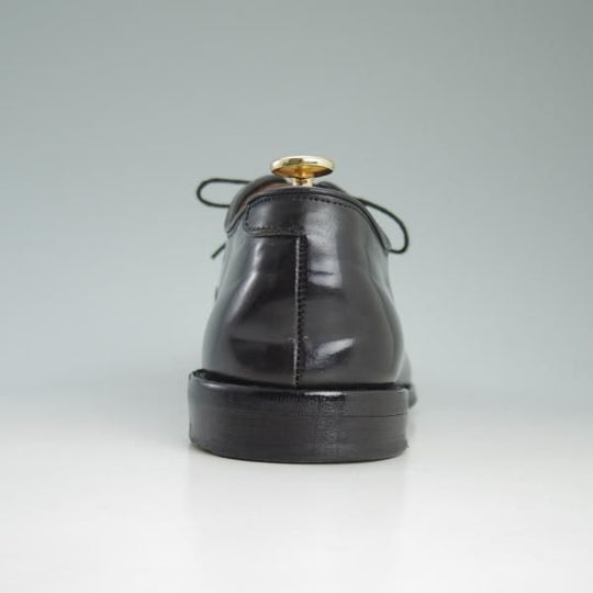 極上★(米)アレンエドモンズ 9D【定価15万円以上★コードバン仕様/Park Avenue/パークアベニュー】ストレートチップ/ALLEN EDMONDS★c999