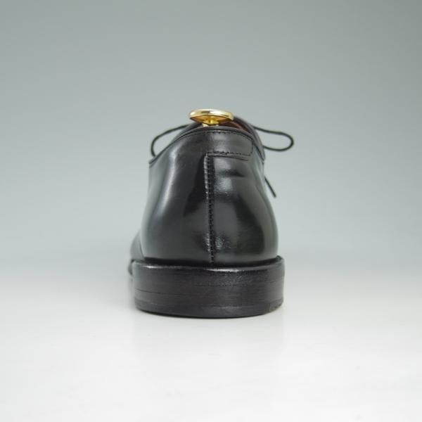 極上★(米)アレンエドモンズ 9D【定価15万円以上★コードバン仕様/Park Avenue/パークアベニュー】ストレートチップ/ALLEN EDMONDS★c999