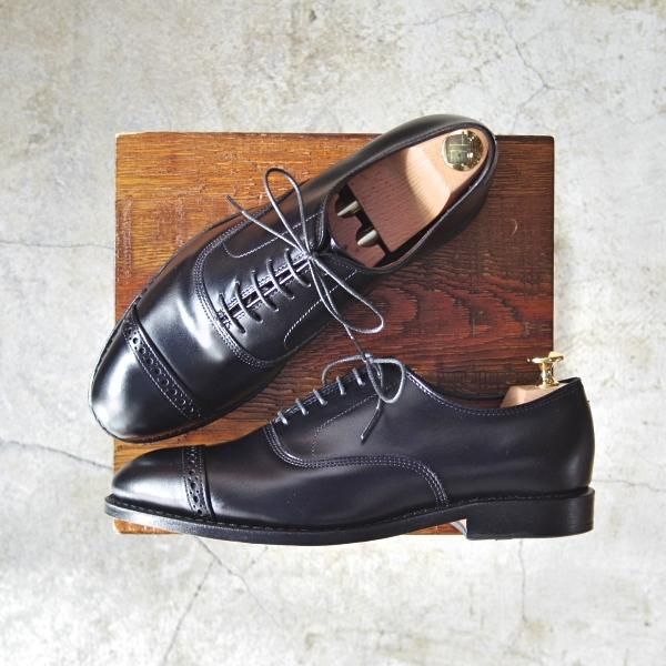 新品☆(米)アレンエドモンズ 7E【定価￥75,900-☆パンチド
