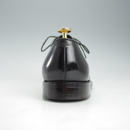 極美品★オールデン 8.5D【定価￥116,600-★ハンプトンラスト/907】ストレートチップ/カーフ/黒/メンズ/ALDEN★i378