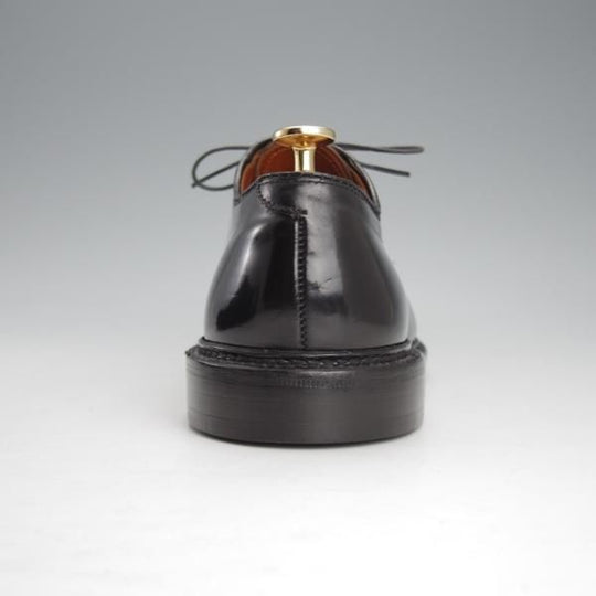 極上★オールデン 8D【定価￥171,600-★コードバン仕様/9901】バリーラスト/プレーントゥ/黒/メンズ/Alden★i581