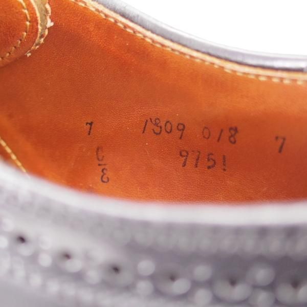 極上★オールデン 7E【現行定価18万円程度★コードバン仕様/バリーラスト/9751】ロングウイング/黒/メンズ/ALDEN★k789