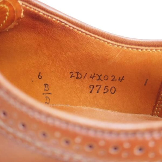 極上★オールデン 6D【貴重★ラベロ色/コードバン/茶】9750/バリーラスト/ロングウイング/メンズ/ALDEN★l240