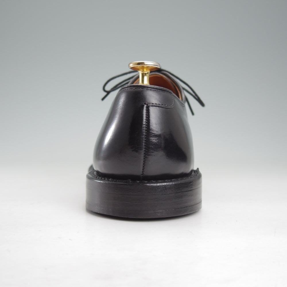 極上★(米)アレンエドモンズ 9D【現行定価￥132,000-★パークアベニュー/Park Avenue】ストレートチップ/カーフ/黒/ALLEN EDMONDS★o032