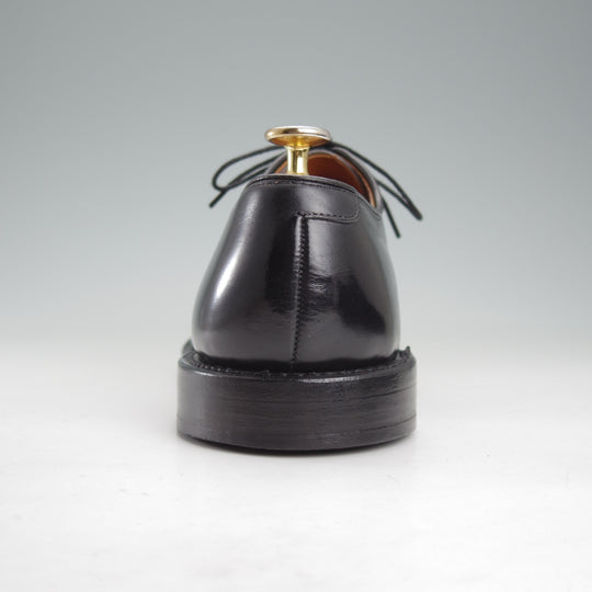 極上★(米)アレンエドモンズ 9D【現行定価￥132,000-★パークアベニュー/Park Avenue】ストレートチップ/カーフ/黒/ALLEN EDMONDS★o032